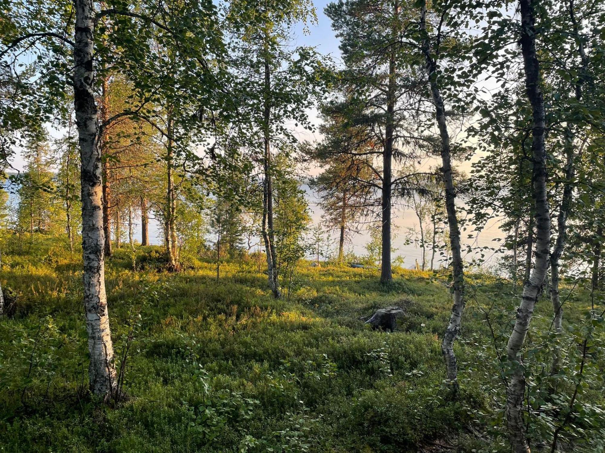 Lapland Dream Villas Rauhala Екстер'єр фото