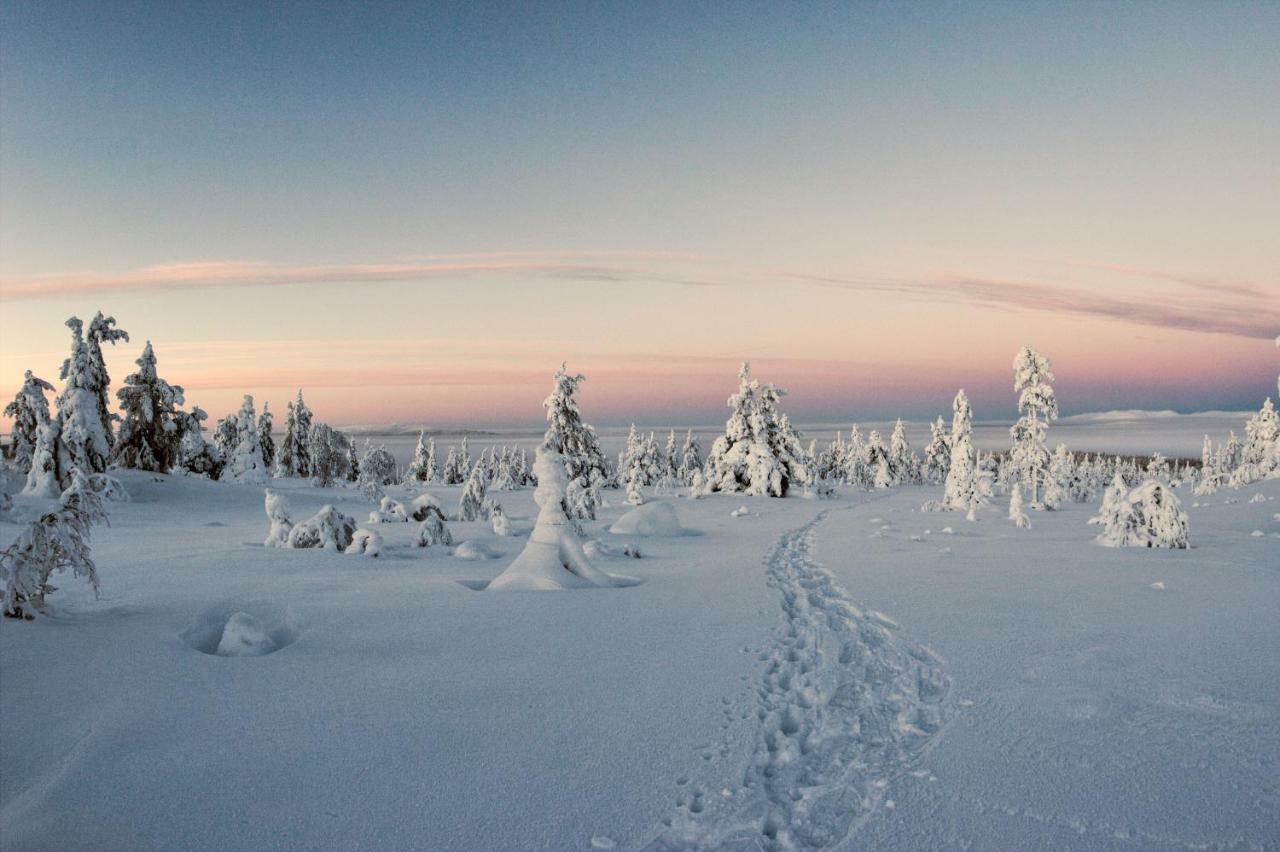 Lapland Dream Villas Rauhala Екстер'єр фото